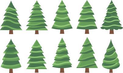 Fototapeta premium Stylized pine trees collection evergreen forest fir spruce vector illustration set nature landscape design elements