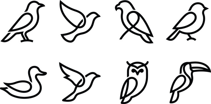 Ilustraciones minimalistas de aves en estilo de arte de l&iacute;nea continua, incluyendo un pato, un b&uacute;ho, un tuc&aacute;n y otras aves voladoras y posadas.