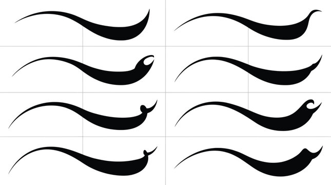 Conjunto de remates de pincelada negra, curvas elegantes y decorativas para dise&ntilde;o gr&aacute;fico.