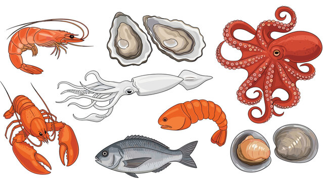 Wide variety of fresh seafood items such as shrimp, lobster, octopus, fish, and various shellfish on a white background.