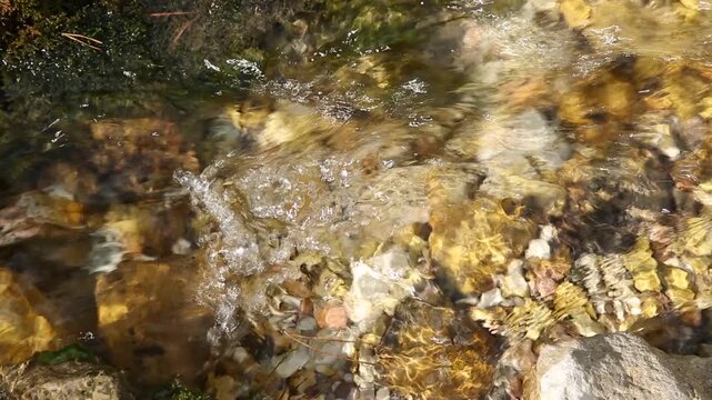Bright stream scene. Golden pebbles in flowing water. Tranquil river with sparkling water and moss. Serene shallow stream with sunlight reflections and smooth stones