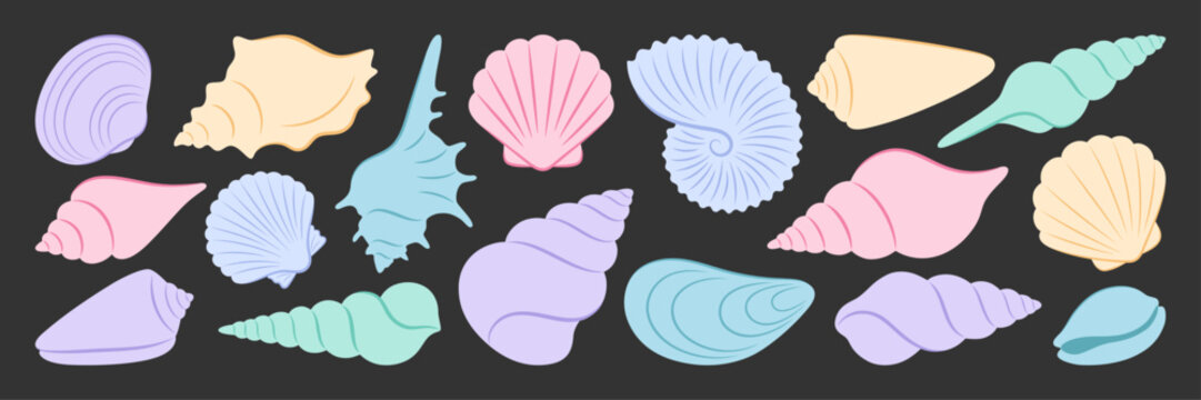 Colorful sea shells set on dark background featuring various shapes like spiral conch, ribbed scallop, nautilus and pointed murex. Marine collection of underwater mollusk house elements.