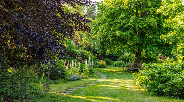 Idyllic garden path with stepping stones leading to a shaded wooden bench amongst lush summer foliage.
