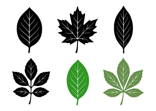 Minimalist leaf icon set in silhouette design