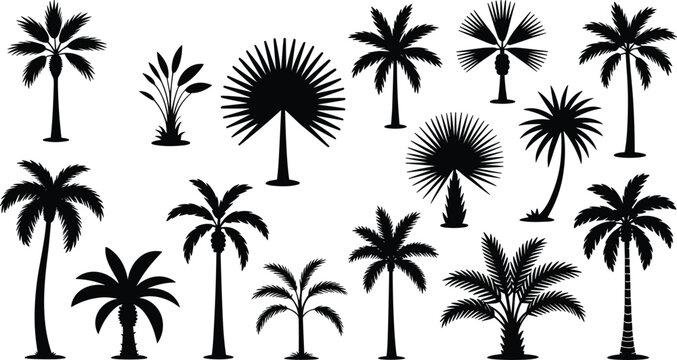 Palm tree silhouette set tropical coconut plants jungle beach nature vector collection botanical design pack illustration
