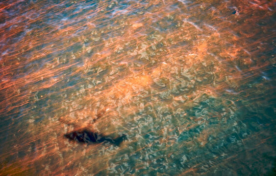 Oil spill Gulf of Mexico