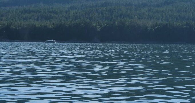 Sunny summer day in Alaska.Whale Watching in Juneau, Alaska.