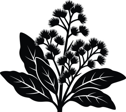 Black silhouette of thistle plant with leaves
