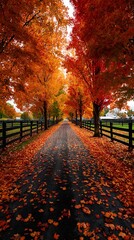 Obraz premium A picturesque road through vibrant autumn trees with fallen leaves
