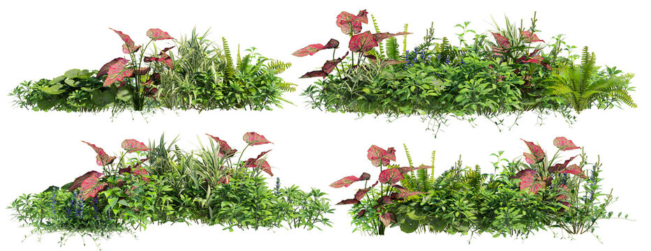 A small garden decorated with many plants on a transparent background.