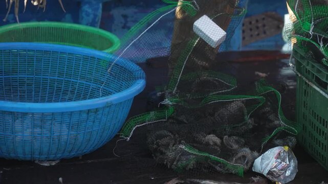 Freshly caught webfoot octopus in a fishing net bag on deck [4K]