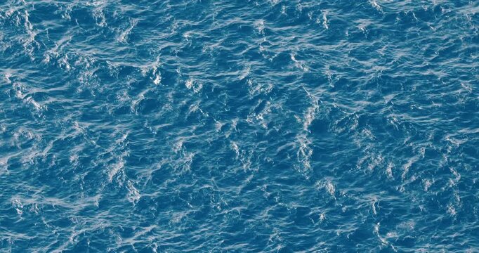 Vagues de la mer