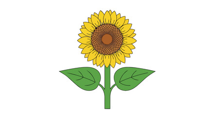 Fototapeta premium Vibrant Yellow Sunflower Illustration with Green Stem and Leaves Isolated on White