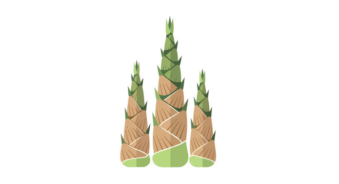 Three Fresh Bamboo Shoots Vector Illustration, Organic Young Bamboo Sprout for Asian Food Ingredient Isolated on White