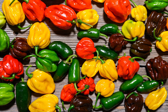 Mixed habanero peppers covering surface as rich colorful texture. Fresh chili assortment top view natural food background