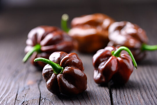 Few chocolate habanero peppers on wooden surface close view. Fresh chili pods natural texture minimal composition