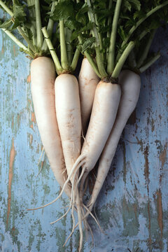 Daikon radish on blue rustic wooden background, white radish, fresh seasonal vegetables