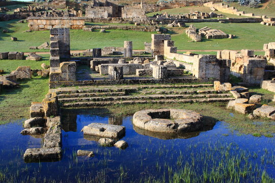selinunte archaeological site ancient Greece remains of the city archaeology Sicily