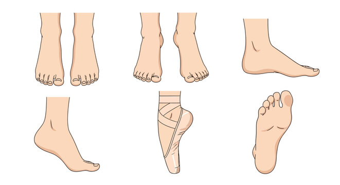 Collection of detailed human feet illustrations showing different angles and positions including a ballet dancer wearing a pink pointe shoe