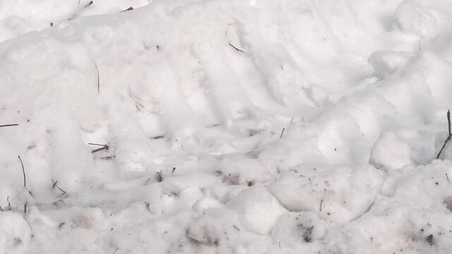 A close-up of truck tire tracks. Deep tire marks from a heavy vehicle in the snow and dirt. Winter background.
