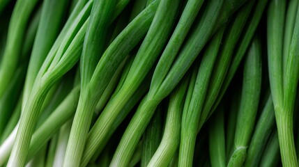 Obraz premium Fresh green onions arranged in a vibrant, textured display.