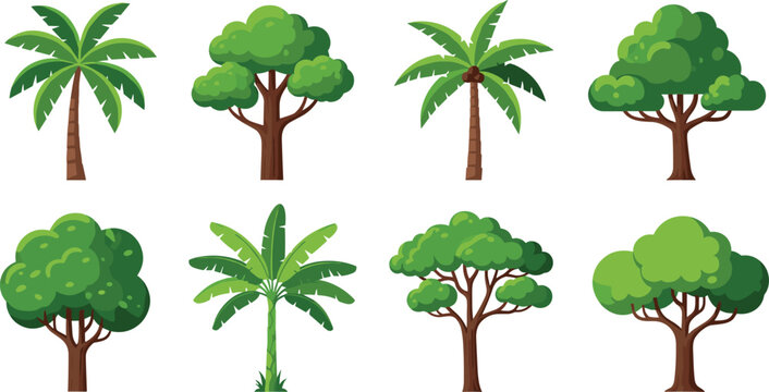 Cartoon tropical and leafy tree vector set with palm banana and forest trees isolated on white background for design