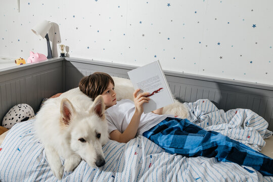 Child reading a book in bed with a pet dog at home