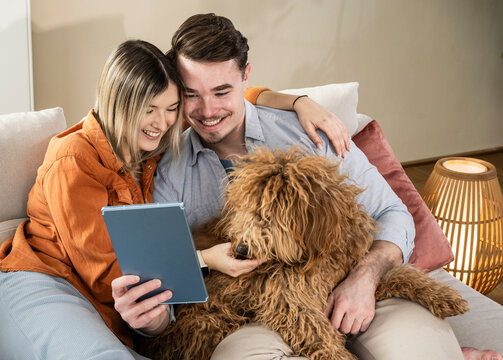Smiling young couple using tablet PC and sitting with dog on sofa in living room