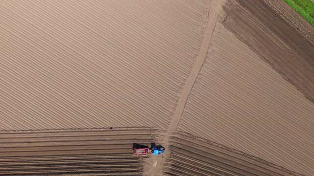 Top down aerial drone view of a tractor tilling and ploughing furrows into rural brown fields in the United Kingdom