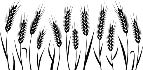 Fototapeta premium Wheat icon set vector, grey cereal collection including rice corn oats and wheat ears for bakery grain agriculture and gluten free symbol design.