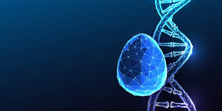Genetic engineering concept with DNA helix and egg symbol. Biotechnology innovation blue vector
