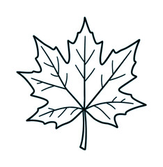 Obraz premium Stylized Leaf Outline Icon Illustration Vector Design