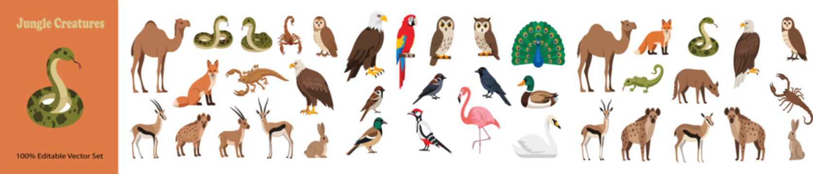 Jungle Creatures vector collection, wild animal and bird illustrations set, exotic desert and safari fauna icons for educational nature design