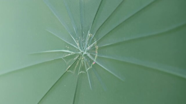 Close-up of cracked glass surface with abstract fracture pattern, concept of damage, breakage and fragility. High quality 4k footage