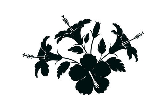 Hibiscus Flower Tropical Bloom