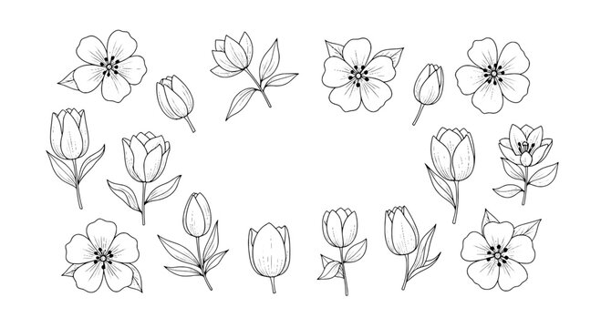 Tulip flower doodle set with thin line sketch petals and simple botanical icons for spring and greeting designs
