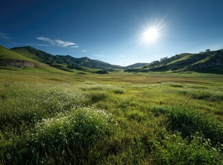 Fototapeta premium Sunny rolling hills under a bright blue sky, dotted with wildflowers