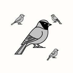 Fototapeta premium Group of Sparrows, Leader Bird, Vector Illustration, Simple Line Art, Clean Background
