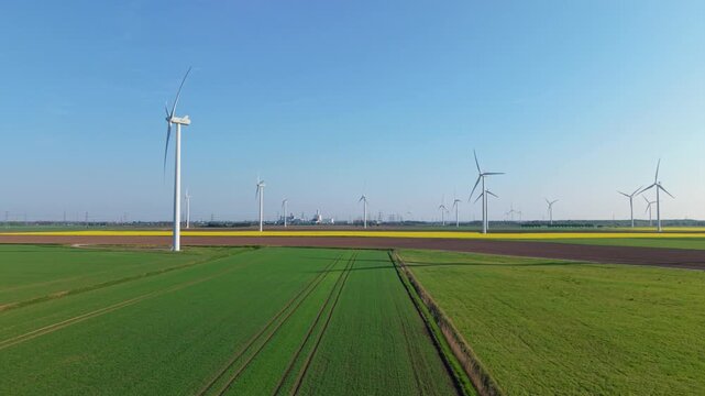 High angle aerial view of a wind farm installation nested within vibrant yellow canola fields at sunset in England