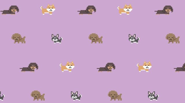 Dog Pattern in Pixel Art Animation, Purple Loop Background