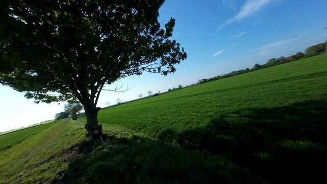 FPV drone aerial view of a fast low pass over blooming yellow rapeseed fields in rural Yorkshire