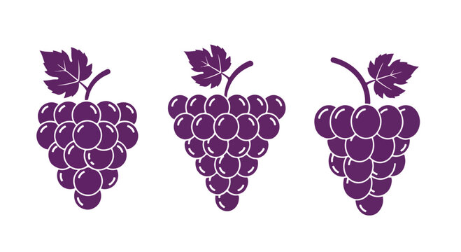 Set of three purple grape cluster icons with leaves on a white background for wine, fruit, or health themes