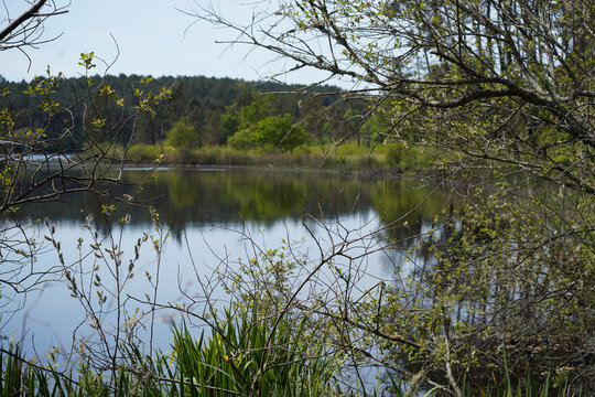 Paysage de l&rsquo;&Eacute;tang du Paludot &agrave; L&eacute;on dans les Landes