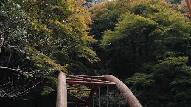 Old rusty arched bridge standing in a dense green forest