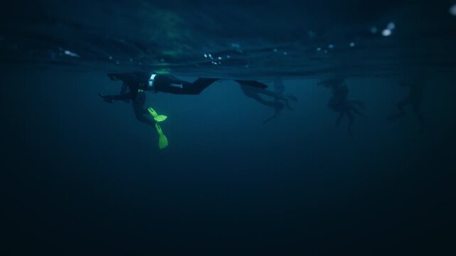 Two divers swimming beneath Arctic Ocean surface in cold Norway coastal water