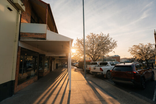 Golden hour sunbeams cast long shadows across a quiet street lined with parked cars and shops