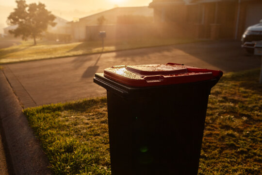 Golden sunlight on misty morning over rubbish bin out for fortnightly curbside pickup