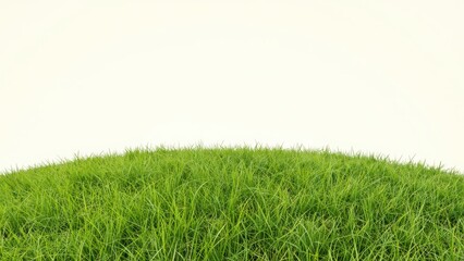 Fototapeta premium Green Grass Sphere on White Background