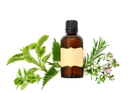 Antihistamine natural herbal medicine, tincture bottle, herbs, nettle, rosemary, thyme sage, oregano, marjoram on white. Traditional treatment for summer hay fever allergies.