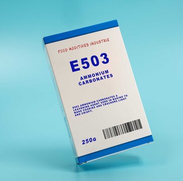 E503